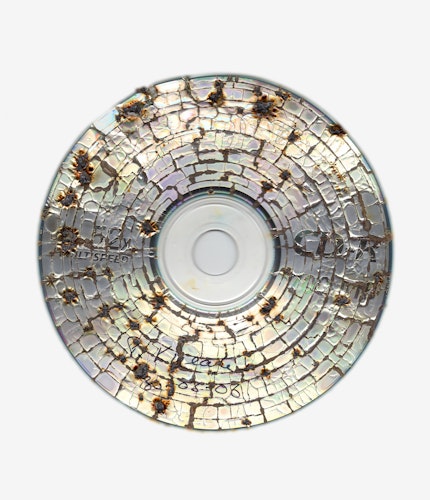 This artwork is part of the series “Free Software”, a body of work inspired by the YouTube genre of putting unusual things in a microwave. One of the most intriguing items is a CD. When microwaved, CDs create a little lightning storm inside the microwave. After being zapped the disk emerges with a unique and mesmeric fractal pattern burned into it. 

For the NFT, Kneale uses a high resolution scanner to make 4800 dpi scans of the burned disks, translating the intricate detail of the CD, and creating rainbow effects in the reflective surface.