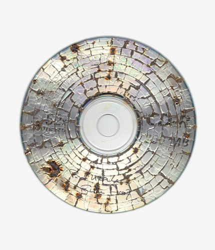 This artwork is part of the series “Free Software”, a body of work inspired by the YouTube genre of putting unusual things in a microwave. One of the most intriguing items is a CD. When microwaved, CDs create a little lightning storm inside the microwave. After being zapped the disk emerges with a unique and mesmeric fractal pattern burned into it. 

For the NFT, Kneale uses a high resolution scanner to make 4800 dpi scans of the burned disks, translating the intricate detail of the CD, and creating rainbow effects in the reflective surface.